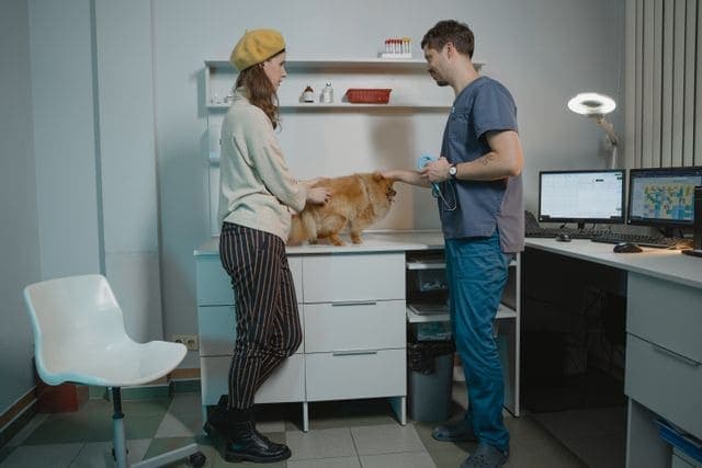 Veterinários